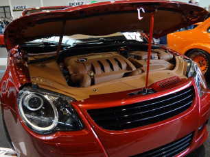 Tuning World Bodensee 2015_1834
