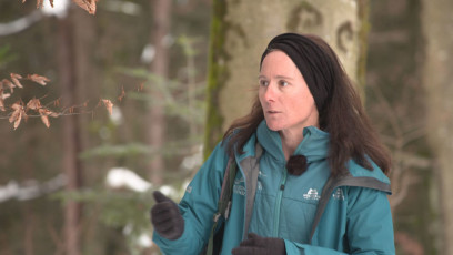 Vom Wald können wir lernen, wir man resilient ist, sasgt Karin Müller-Vögel von der Waldschule Bodensee