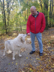 Dokugestalter Gernot Hämmerle mit einem gezähmten Wolf im Wolf Science Center in Ernstbrunn, NO © ORF Vorarlberg