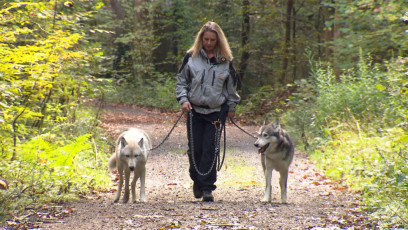 Indira Mussner aus Rankweil mit ihren beiden Wolfshunden Ely und Lupo beim täglichen Spaziergang © ORF Vorarlberg Kopie