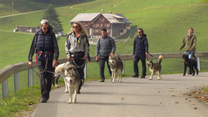 Wolfshundehalter aus Österreich, Deutschland und der Schweiz bei einem gemeinsamen Spaziergang in Fontanella, Vorarlberg © ORF Vorarlberg Kopie
