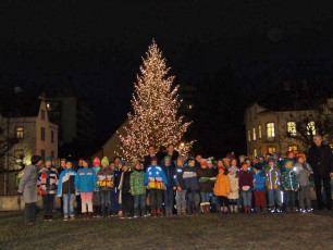 Weihnachtsbaum Illumination 2014_8215