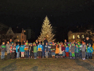 Weihnachtsbaum Illumination 2014_8218