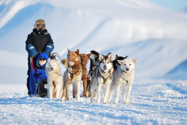 K800_Basecamp Spitsbergen Dog Sledging Winter 17
