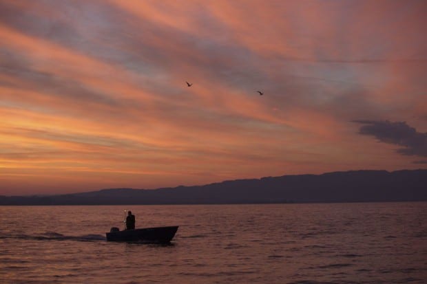 Bodensee - Wildnis am groflen Wasser