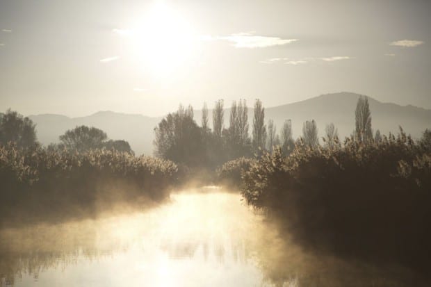 Bodensee - Wildnis am groflen Wasser
